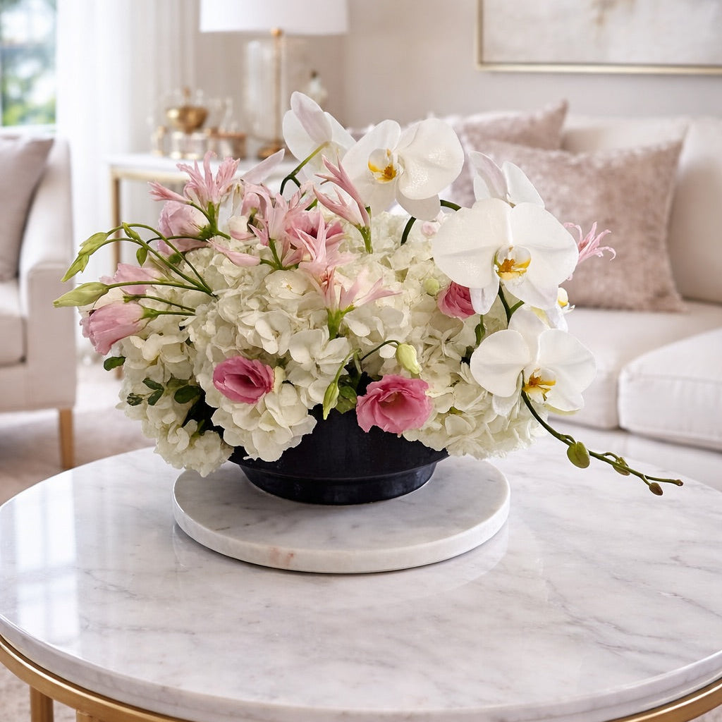 Orchids