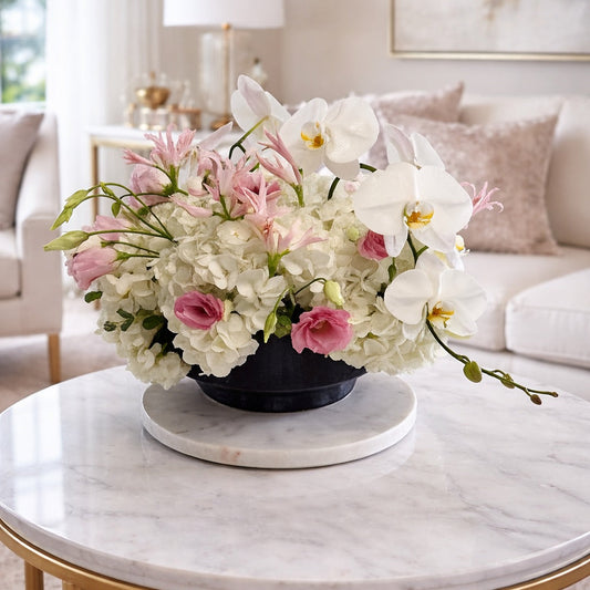 Orchids